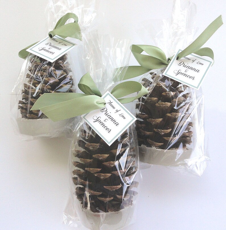 Pine Cone Fire Starter Party Favors Wedding Favors & Etsy