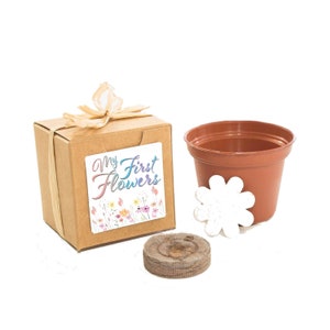 Mini Flower Garden Growing Kit Baby Shower Gift or Favor, Rainbow First Flower Growing Kit, Homeschool Activity, DIY Flower Seed Garden image 2