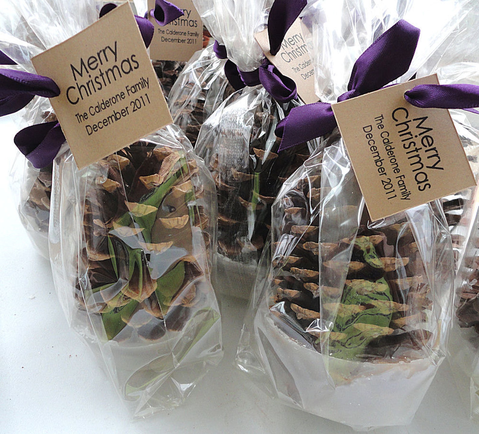 Pine Cone Fire Starter Party Favors Wedding Favors & Etsy