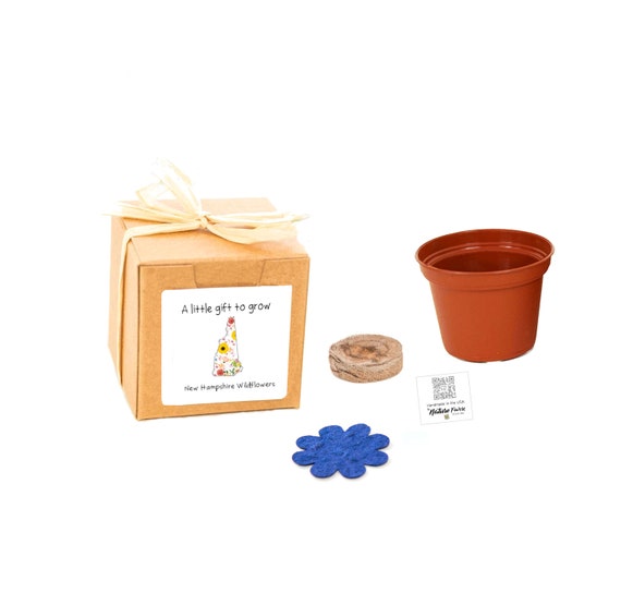GIFTS to GROW™ New Hampshire Wildflower Grow Kit, Small Indoor Outdoor Sustainable Garden Gift Experience, Gift-Ready Flower Seed Planter Il_570xn
