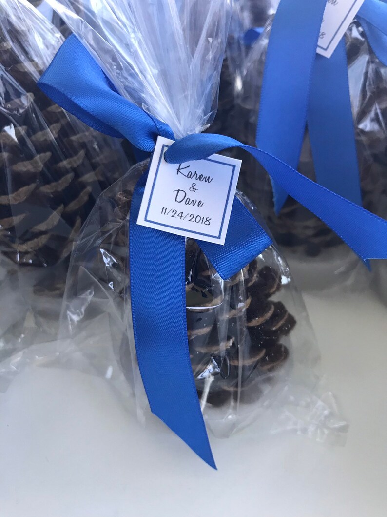 Pinecone Fire Starter Party Favors in Clear Gift Bags Etsy