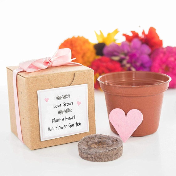 Love Grows Seed Paper Heart Garden Set | Personalized Favor Box | Weddings, Bridal Showers, Special Events | Buy Bulk, Free Shipping Offer Il_570xn