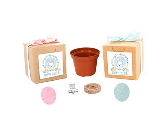 Seed Kit Easter Gifts for Kids & Adults, Boys and Girls, Fun, Educational Garden Gift, Easter Basket Filler, Easter Party Favor, Easter Gift