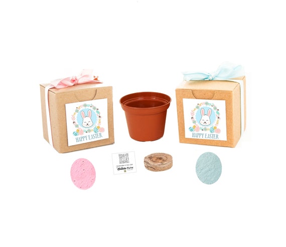 Seed Kit Easter Gifts for Kids & Adults, Boys and Girls, Fun, Educational Garden Gift, Easter Basket Filler, Easter Party Favor, Easter Gift Il_570xn