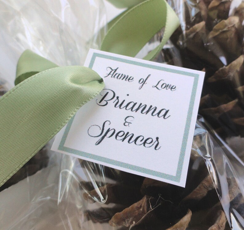 Pine Cone Fire Starter Party Favors Wedding Favors & Etsy