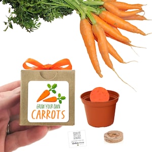 Carrot Garden Seed Starter Gift, Small Sustainable Gift Idea for Kids & Adults, Fun Family Activity, Vegetable Gift Basket Stuffer Gift Item