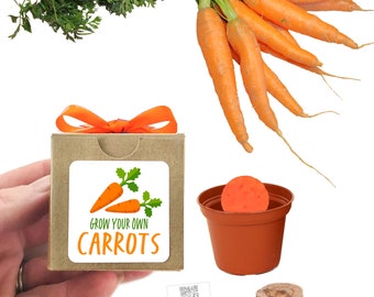 Carrot Garden Seed Starter Gift, Small Sustainable Gift Idea for Kids & Adults, Fun Family Activity, Vegetable Gift Basket Stuffer Gift Item