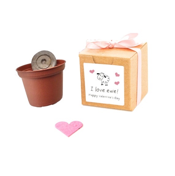 Valentine's Day Gift for Kids, Gift Ready Flower Seed Grow Kit, Indoor Garden Activity for Boy or Girl, Optional Personalized Gift Message Il_570xn