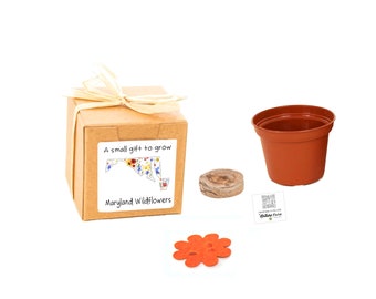 GIFTS to GROW Maryland Wildflower Grow Kit, Maryland Native Wildflower Seeds, Indoor Outdoor Flower Garden Gift Experience for Men & Women