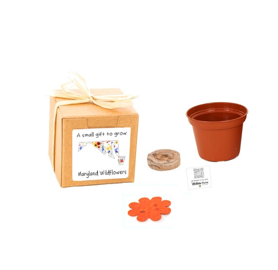 GIFTS to GROW™ Maryland Wildflower Grow Kit, Maryland Native Wildflower Seeds, Indoor Outdoor Flower Garden Gift Experience for Men & Women Il_570xn