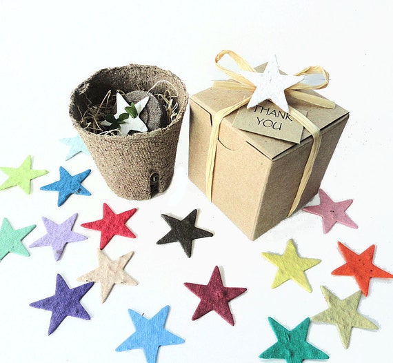 Plantable Star Shaped Kids Birthday Party Favors - Unique Plantable Star Shapes for Boys, Girls, Unisex - Star Themed Birthday Parties Il_570xn
