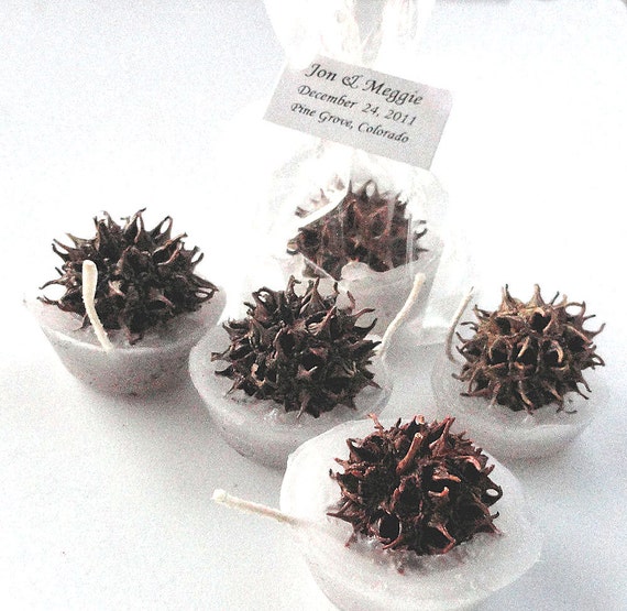 50 Sweet Gum Fire Starter Wedding Favors - Clear Favor Bags, Personalized Wedding Favor - woodland, victorian, shabby chic by Nature Favors Il_570xn