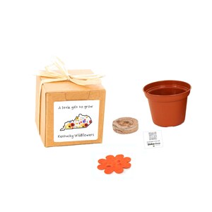 GIFTS to GROW Kentucky Wildflowers, Small Sustainable Flower Grow Kits, Fun, Indoor Outdoor Garden Experience, Souvenir Gift for Men & Women