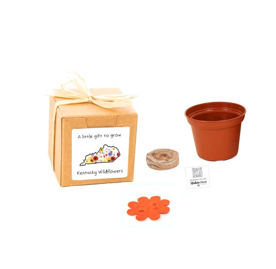 Kentucky Wildflower Gifts to Grow, Small Sustainable Flower Grow Kits, Souvenir, Fun, Indoor Outdoor Garden Activity, Inspired by Nature Il_570xn