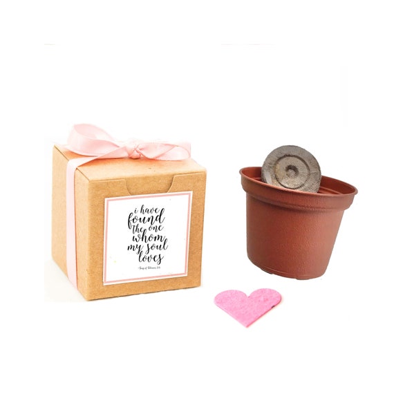 Wedding Favor Flower Garden Grow Kit Gift, Personalized Wedding Favor, Song of Solomon Gift Message, Small Gift for Wedding or Bridal Shower Il_570xn