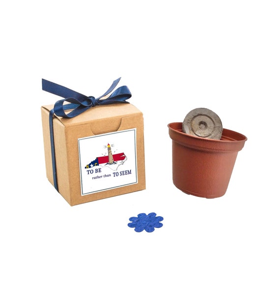 North Carolina State Themed Flower Seed Grow Kit, Native North Carolina Flower Seeds, At Home Indoor Outdoor Garden Activity, Souvenir Gift Il_570xn