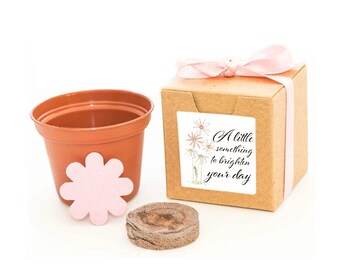 GIFT TO GROW Flowers,  A Little Something to Brighten Your Day,  Small Sustainable Fun Indoor/Outdoor Garden Activity, Flower Seed Grow Kit