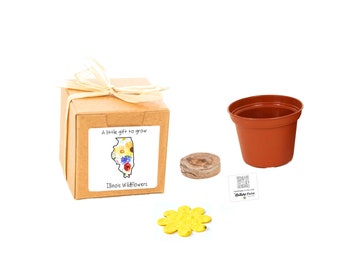 GIFTS to GROW  Illinois Wildflower Garden Gift Experience, Small Sustainable Flower Seed Grow Kits with Illinois Wildflower Seed Surprise