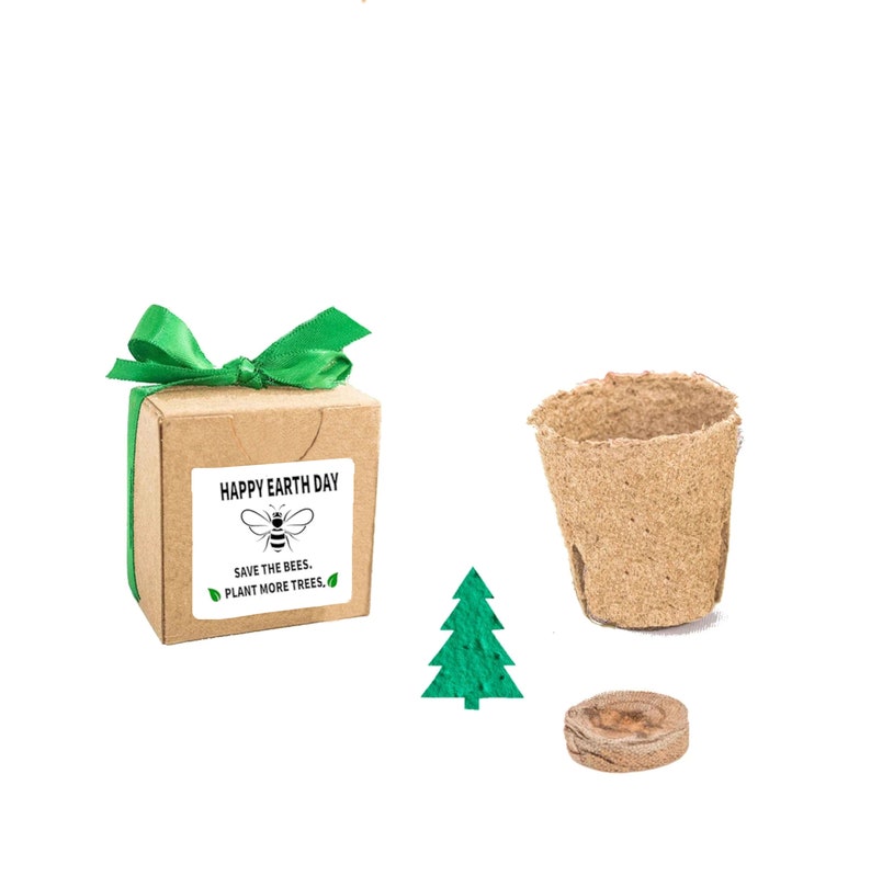 Earth Day Gift to Grow, Small, Sustainable Tree Grow Kit, Fun Nature Inspired Family Activity for Adults & Kids, Biodegradable Organic Gift image 1