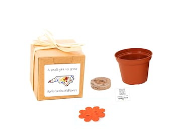 GIFTS to GROW North Carolina Wildflower Seed Grow Kit, Small Sustainable Indoor Outdoor Garden Experience, NC Souvenir Gift for Men & Women