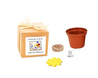 GIFTS to GROW  Wyoming Wildflower Grow Kit, Small Indoor Outdoor Sustainable Garden Gift Experience, Gift-Ready Flower Seed Planter