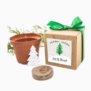 May include: A brown cardboard box with a green ribbon tied around it. The box has a white label with a green pine tree and the text "Let It Snow Let It Grow!"