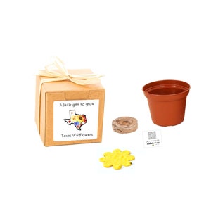 Texas Gifts to Grow, Small, Sustainable Wildflower Grow Kit, Fun Indoor Outdoor Garden Activity, Texas Gift Basket Fillers, Made in Texas image 1