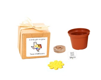 Texas Gifts to Grow, Small, Sustainable Wildflower Grow Kit, Fun Indoor Outdoor Garden Activity, Texas Gift Basket Fillers, Made in Texas