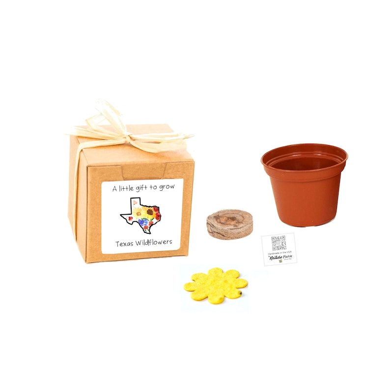 Texas Gifts to Grow, Small, Sustainable Wildflower Grow Kit, Fun Indoor Outdoor Garden Activity, Texas Gift Basket Fillers, Made in Texas image 1