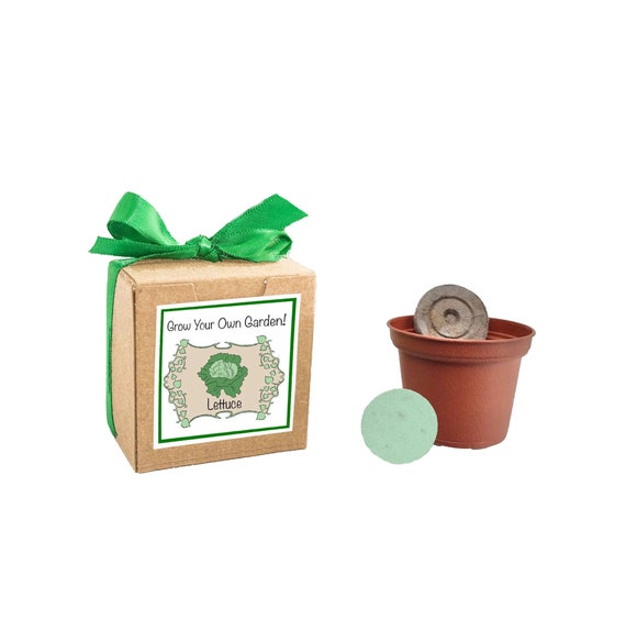 Grow Your Own Garden with Lettuce, Carrots, or Herbs Seeds Perfect for Growing Vegetables at Home or to Send to a Friend or Family Il_570xn