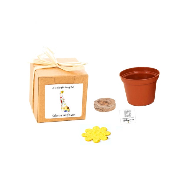 GIFTS to GROW Delaware Wildflower Grow Kit , Small, Sustainable Indoor Outdoor Garden Gift Experience, Fun Seed Gift for Men, Women, & Kids