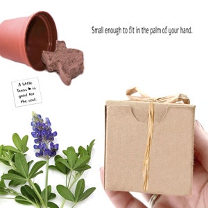 Small Texas Themed Gifts to Grow for Men, Women, & Kids, Friends or Family, Unique Fun Indoor Bluebonnet Garden Activity, Good for the Soul image 8