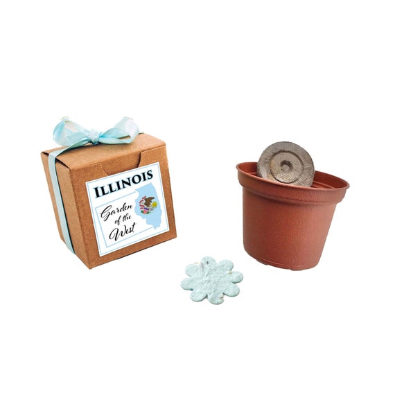 Illinois State Wildflower Seed Grow Kit with Wildflower Seeds, Fun Garden Gift, Prairie Garden State Souvenir Gift to Grow Il_570xn