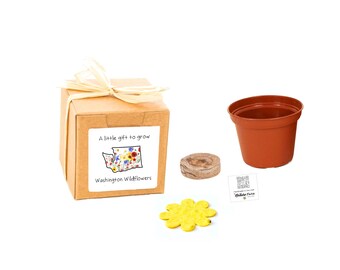 GIFTS to GROW  Washington Wildflower Grow Kit, Small Indoor Outdoor Sustainable Garden Gift Experience, Gift-Ready Flower Seed Planter