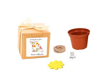 Missouri Gifts to Grow Wildflowers, Tiny, Little Sustainable Grow Kit Gifts, Fun Indoor Outdoor Activity, Personal Garden Gift Experience