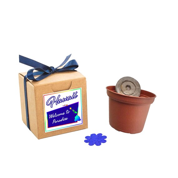 Hawaii State Wildflower Seed Grow Kit with Wildflower Seeds, Fun Garden Gift, Hawaii Aloha State Souvenir Gift to Grow Il_570xn