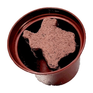 Plantable Texas shape with bluebonnet seeds.  All inclusive grow kits with flower pot and soil included.  Made in Texas by Nature Favors.