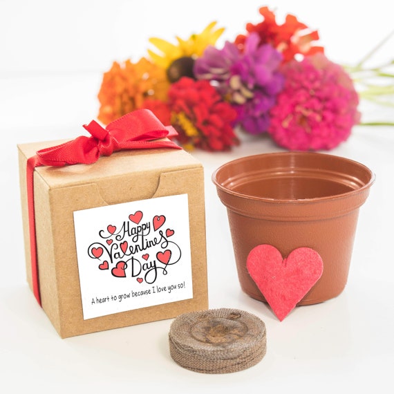 Love Grows | Flower Garden Starter Kit | Valentine's Day Gifts & Party Favors | Personalized Valentine's Day Card | Unique Valentine Gift Il_570xn