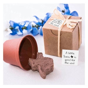 Small Texas Themed Gifts to Grow for Men, Women, & Kids, Friends or Family, Unique Fun Indoor Bluebonnet Garden Activity, Good for the Soul