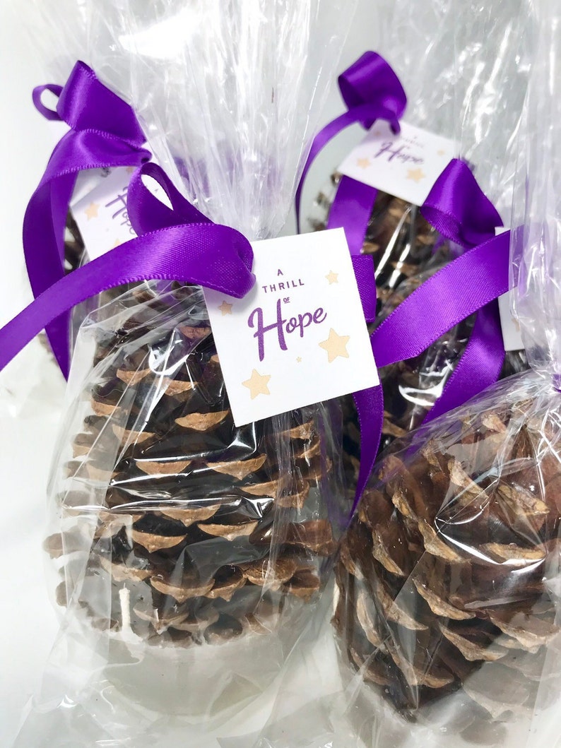 Pinecone Fire Starter Party Favors in Clear Gift Bags Etsy