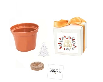 Happy Holidays Tree Grow Kit | Small Personal Planter Gifts & Party Favors | Customizable Christmas Gifts | Handmade in Texas, USA