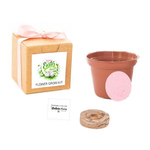 May include: A brown cardboard box with a pink ribbon tied around it. The box has a label that says "Happy Easter Flower Grow Kit". There is a small brown pot with a pink seed disc, a brown seed disc, and a white square label that says "Handmade in the USA Nature Favors".