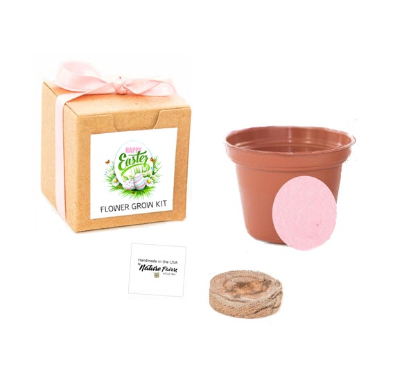Little Easter Gifts to Grow Flowers, Fun for Adults, Kids, Boys & Girls, Easter Basket Fillers, Party Favors, Unique, Sustainable Gift Idea Il_570xn