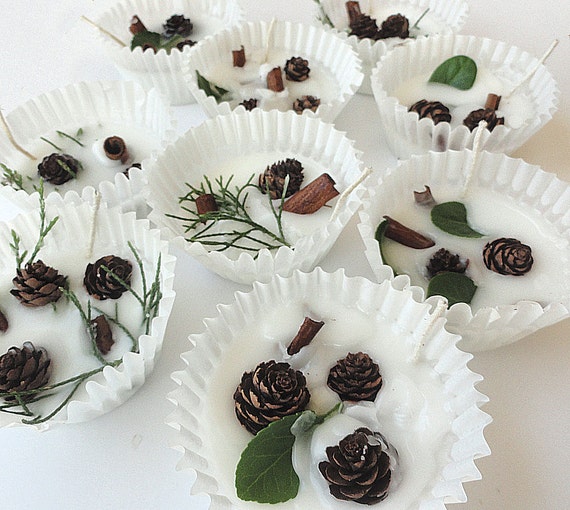 50 Scented Fire Starter Party Favors - Petite Pine Cones - Personalized Winter Weddings or Fall Bridal Showers - Favor Boxes or Clear Bags Il_570xn