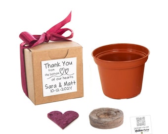 Set of 12 Flower Grow Kits, Fun Little Wedding Favors & Personal Thank You Gifts, Indoor Outdoor Garden Activity, Flower Seed Planter Gifts