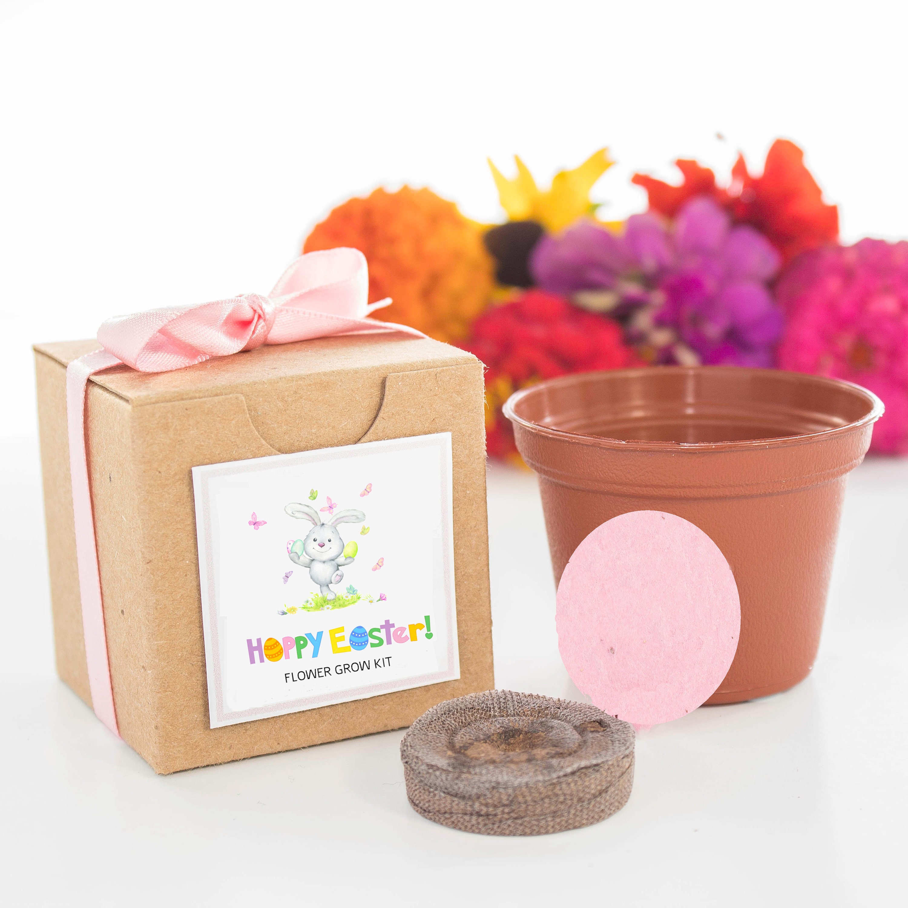 Flower Seed Grow Kit Easter Gifts for Boys Girls Moms Dads Etsy