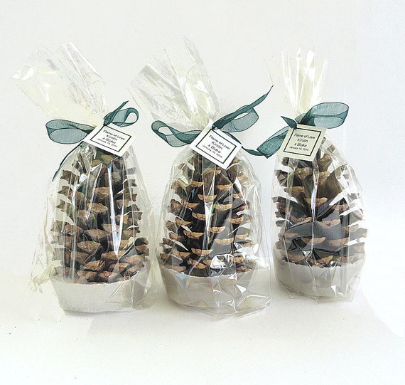 Pine Cone Fire Starter Wedding Favors, Wedding Table Decor- Pine Cone Fire Starter Party Favors, Gift Wrapped in Clear Favor Bags Il_570xn