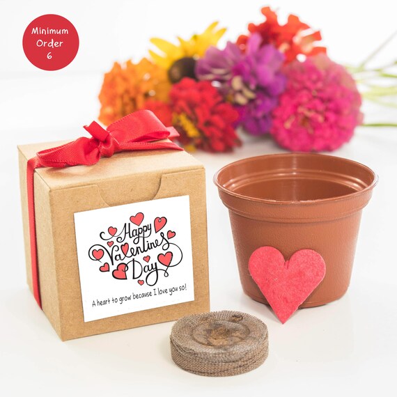 Love Grows | Flower Garden Starter Kit | Valentine's Day Gifts & Party Favors | Personalized Valentine's Day Card | Unique Valentine Gift Il_570xn