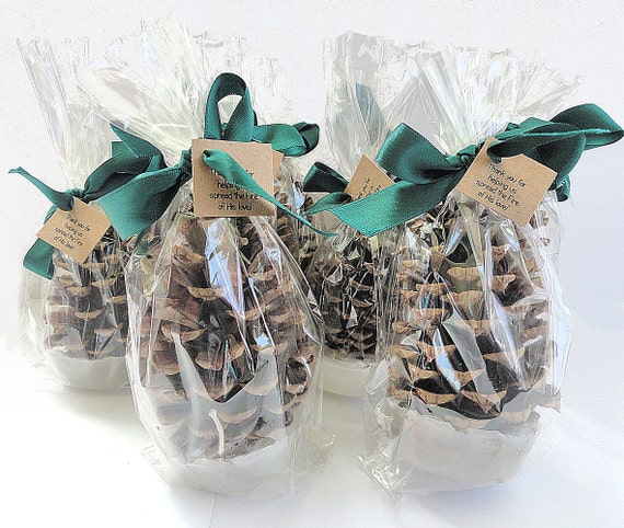 Pinecone Fire Starters Holiday Party Gifts & Wedding Favors, Free Shipping and Personalized Hang Tag Offer, Assorted Ribbon Colors Available Il_570xn