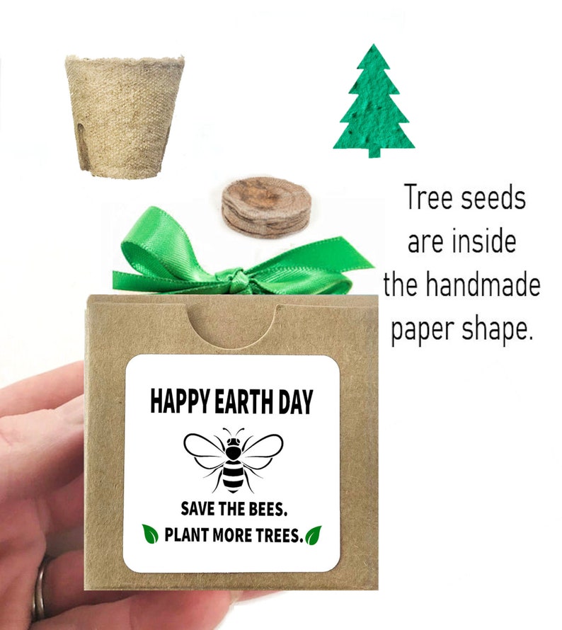 Earth Day Gift to Grow, Small, Sustainable Tree Grow Kit, Fun Nature Inspired Family Activity for Adults & Kids, Biodegradable Organic Gift image 2